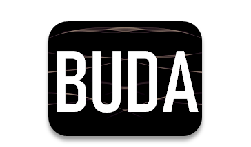Buda Bilişim